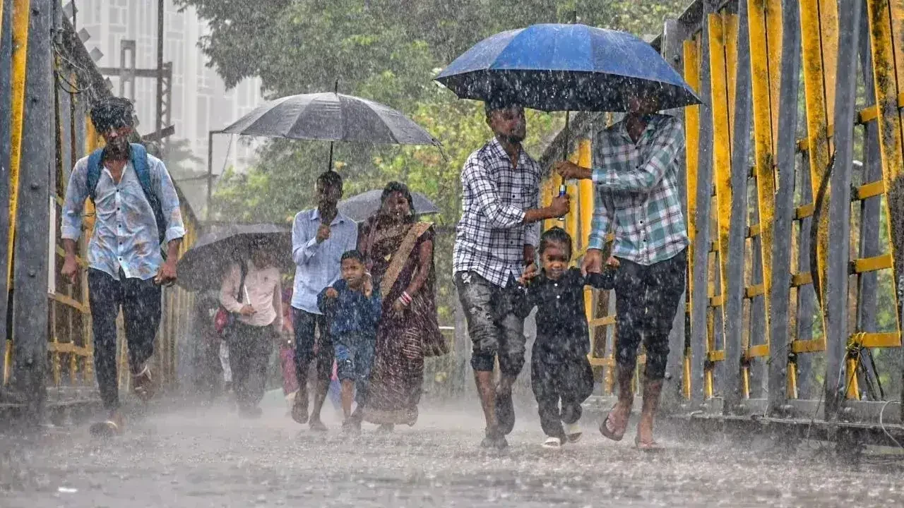 राज्यात आजही मुसळधार पावसाचा यलो अलर्ट