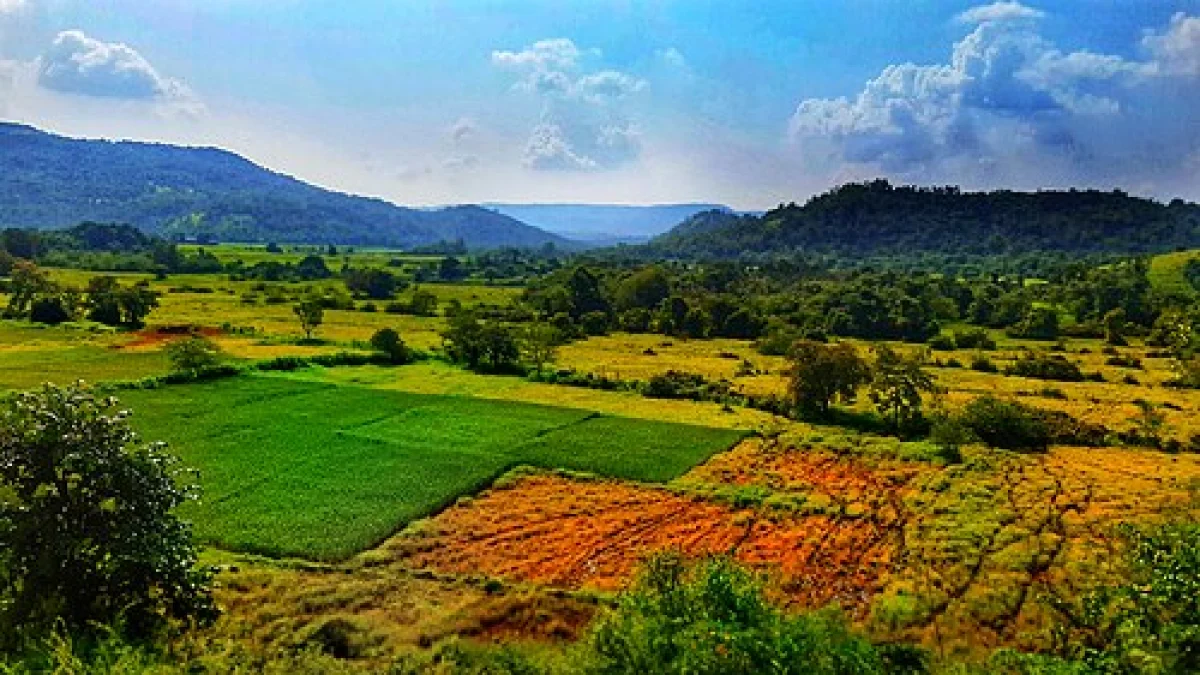 सामाजिक सातबारा उताऱ्यावरील जमीन विक्रीसाठी सहहिस्सेदारांची संमती बंधनकारक